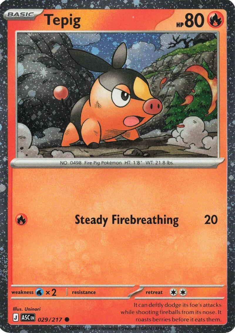 Tepig - 029/217 (Cosmos Holo)