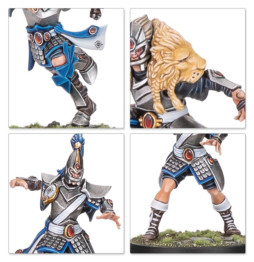 Blood Bowl: High Elf Team: Caledor Dragons