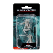 D&D Nolzur’s Marvelous Miniatures: Human Male Sorcerer