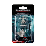 D&D Nolzur's Marvelous Miniatures: Male Human Sorcerer