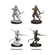 D&D Nolzur's Marvelous Miniatures: Male Tabaxi Rogue